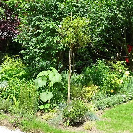 D'hotes Sur Jardin Acces Pmr Bed & Breakfast Caen
